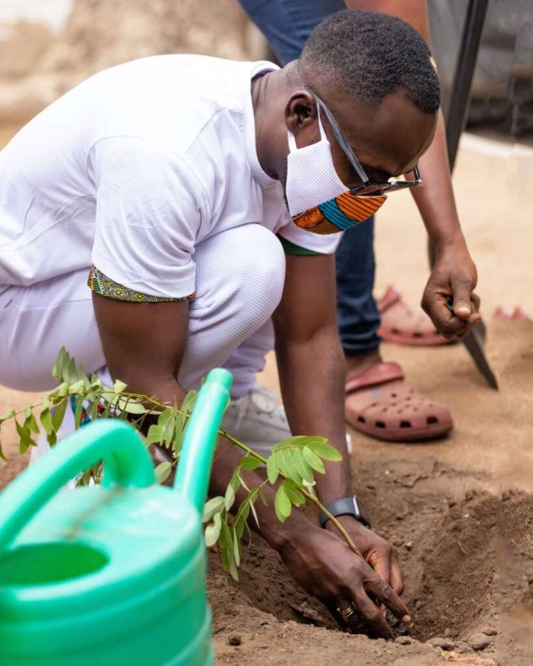 Climate Change Through Tree Planting